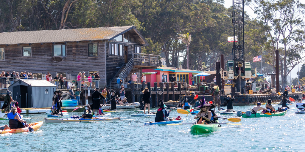 Dozens of paddlers entering Morro Bay