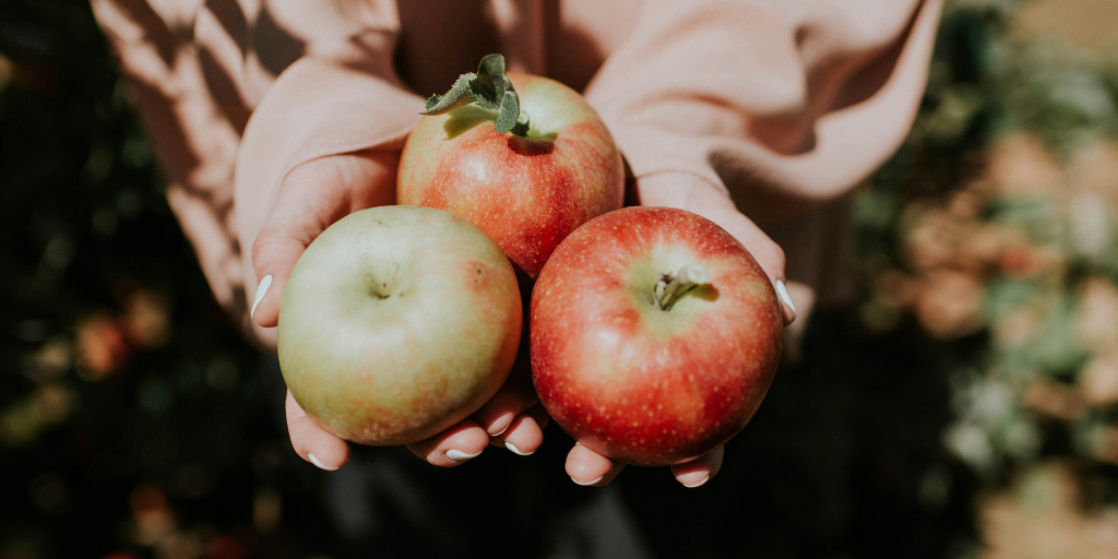 Woman in peach colored shirt holds three apples